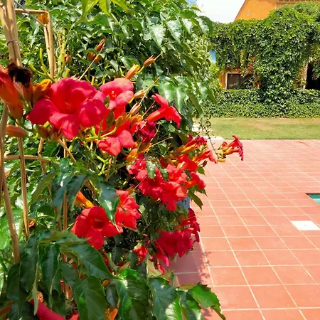Mas De Bernis - Masovers Holiday home